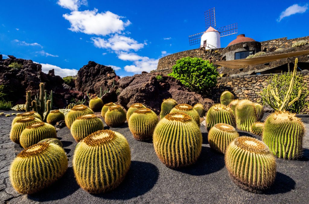 Lanzarote 7Nächte ab 1.523 € p.P.