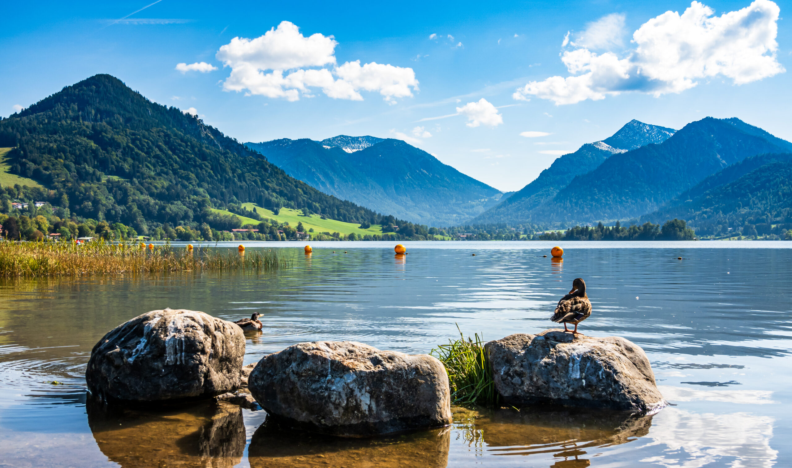 berühmter schliersee in bayern - germany - foto