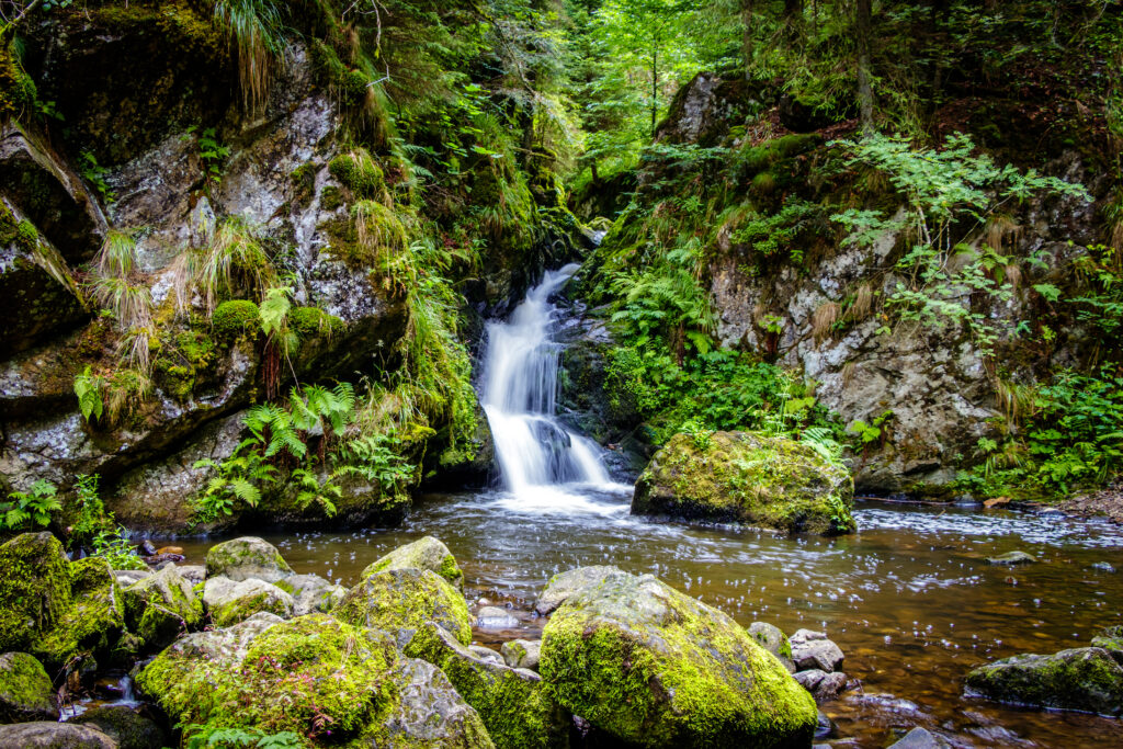 Advent im Schwarzwald mit der Ravenna-Schlucht 2Nächte ab 595 € p.P.